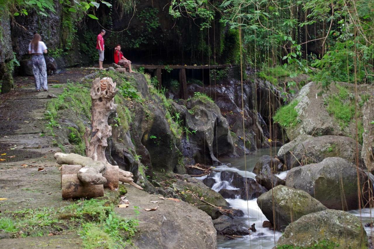 Ubad Retreat Hotel Ubud  Luaran gambar